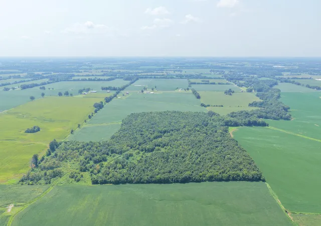 Photo 2 of House for sale at 00 Beech Grove Rd Rd, Mayfield, KY 42066 | MLS# 26023297 | Listing updated on 2026-08-26