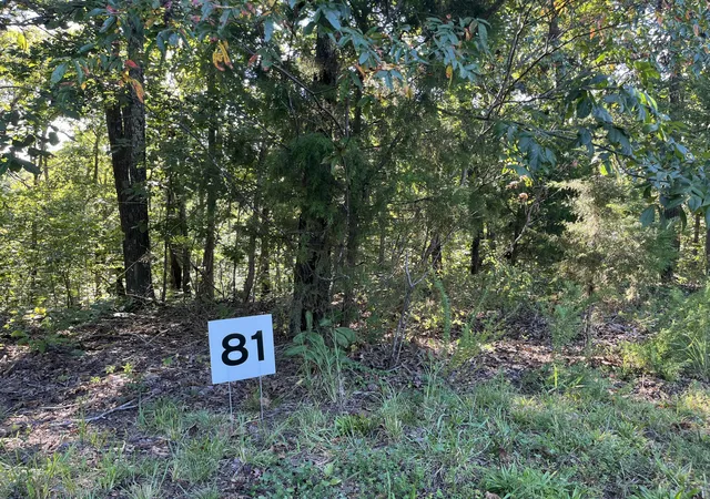 Land for sale at Lot 81 Waterfowl Rd, Murray, KY 42071 | MLS# 26022956