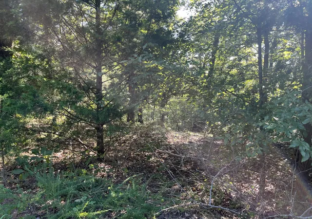 Photo 3 of Land for sale at Lot 81 Waterfowl Rd, Murray, KY 42071 | MLS# 26022956 | Listing updated on 2026-08-22