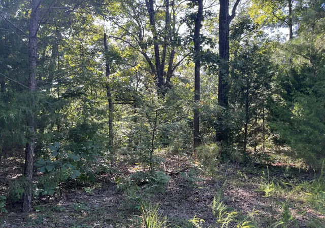 Photo 3 of Land for sale at Lot 81 Waterfowl Rd, Murray, KY 42071 | MLS# 26022956 | Listing updated on 2026-08-22