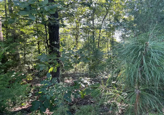 Photo 4 of Land for sale at Lot 81 Waterfowl Rd, Murray, KY 42071 | MLS# 26022956 | Listing updated on 2026-08-22