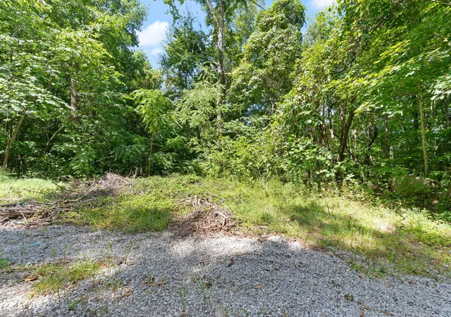 Photo 1 of Sale Pending at 0000 Bill Dee Br Rd, Topmost, KY 41862 | MLS# 26023414 | Listing updated on 2026-10-25