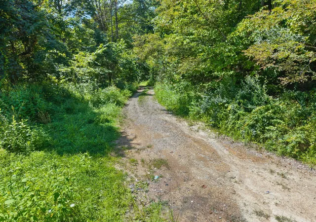 Photo 2 of Sale Pending at 0000 Bill Dee Br Rd, Topmost, KY 41862 | MLS# 26023414 | Listing updated on 2026-10-25