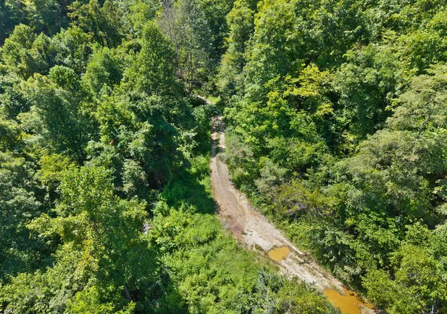 Photo 4 of Sale Pending at 0000 Bill Dee Br Rd, Topmost, KY 41862 | MLS# 26023414 | Listing updated on 2026-10-25