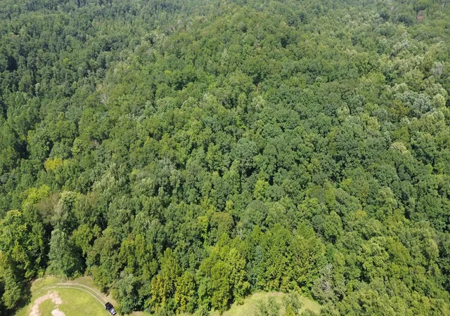 Photo 3 of Land for sale at 0 S Fork Rd, Stanton, KY 40380 | MLS# 26022854 | Listing updated on 2026-08-21