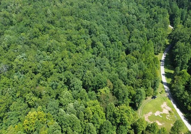 Photo 4 of Land for sale at 0 S Fork Rd, Stanton, KY 40380 | MLS# 26022854 | Listing updated on 2026-08-21
