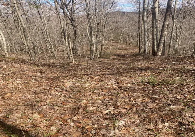 Photo 2 of Land for sale at 6 Toby Rd, Manchester, KY 40962 | MLS# 26022882 | Listing updated on 2026-08-21