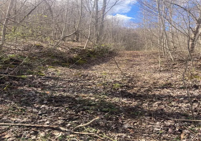 Photo 3 of Land for sale at 6 Toby Rd, Manchester, KY 40962 | MLS# 26022882 | Listing updated on 2026-08-21