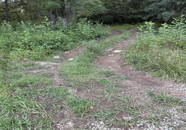 Photo 1 of Land for sale at 15 Rl Colyer Rd, Somerset, KY 42501 | MLS# 26022897 | Listing updated on 2026-08-22