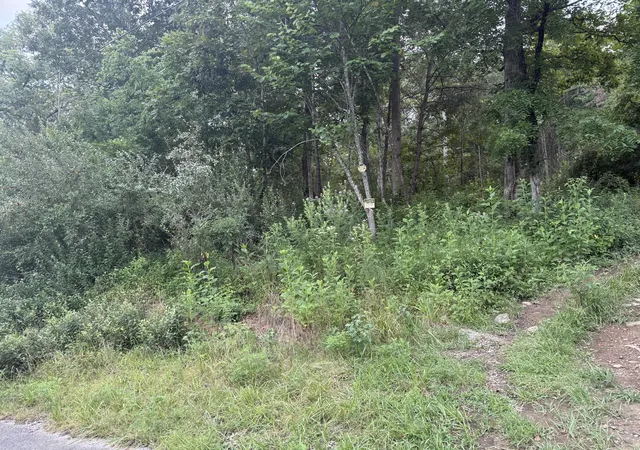 Photo 3 of Land for sale at 15 Rl Colyer Rd, Somerset, KY 42501 | MLS# 26022897 | Listing updated on 2026-08-22
