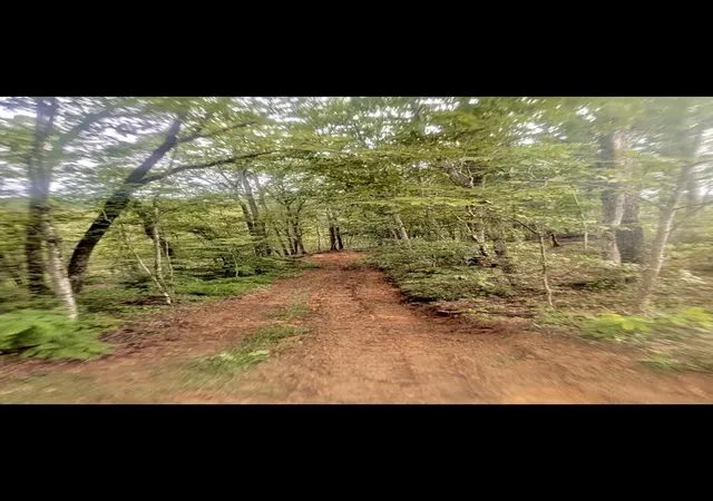 Photo 1 of Land for sale at 1111 Bridge Rock Rd, Mc Kee, KY 40447 | MLS# 26023721 | Listing updated on 2026-08-30