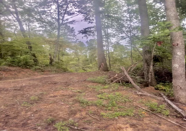 Photo 3 of Land for sale at 1111 Bridge Rock Rd, Mc Kee, KY 40447 | MLS# 26023721 | Listing updated on 2026-08-30