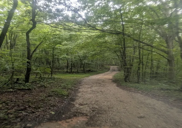 Photo 2 of Land for sale at 2222 Bridge Rock Rd #2222, Mc Kee, KY 40447 | MLS# 26023722 | Listing updated on 2026-08-30
