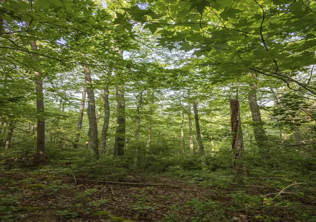 Photo 1 of Land for sale at Lot 116 120 Highland Heights, Zoe, KY 41397 | MLS# 26023333 | Listing updated on 2026-10-07