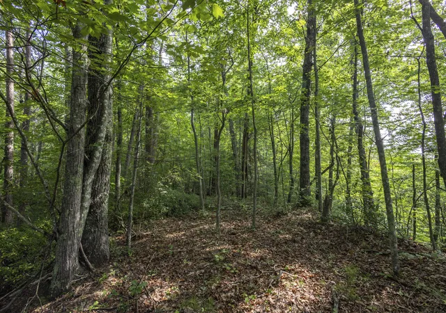 Photo 2 of Land for sale at Lot 116 120 Highland Heights, Zoe, KY 41397 | MLS# 26023333 | Listing updated on 2026-10-07