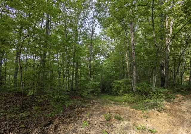 Photo 3 of Land for sale at Lot 116 120 Highland Heights, Zoe, KY 41397 | MLS# 26023333 | Listing updated on 2026-10-07