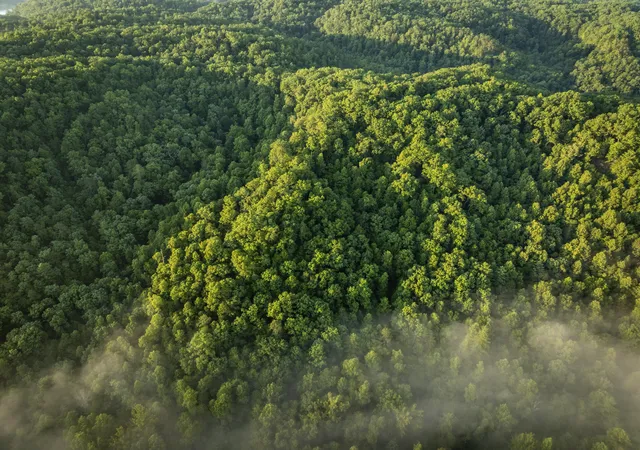 Photo 3 of Land for sale at Lot 131 133 Highland Heights, Zoe, KY 41397 | MLS# 26023331 | Listing updated on 2026-10-07