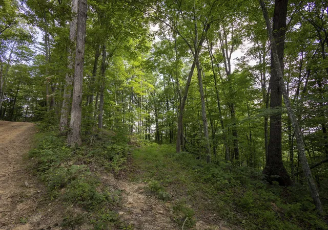 Photo 4 of Land for sale at Lot 131-133 Highland Heights, Zoe, KY 41397 | MLS# 26023331 | Listing updated on 2026-10-07