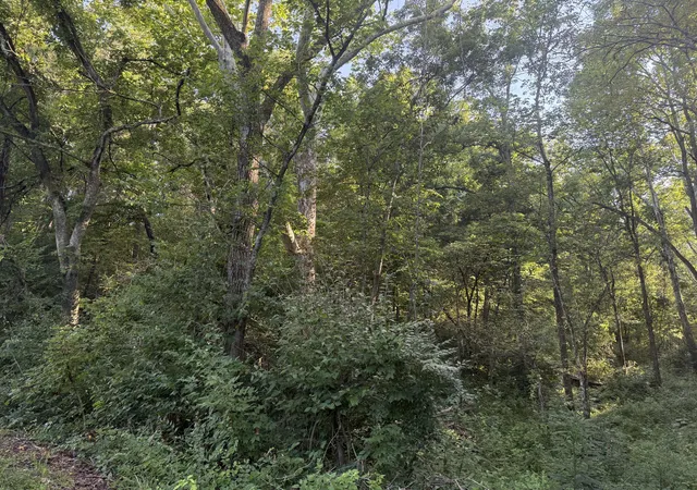 Photo 4 of Sale Pending at 4782 Kentucky 596, Germantown, KY 41044 | MLS# 26023013 | Listing updated on 2026-10-13