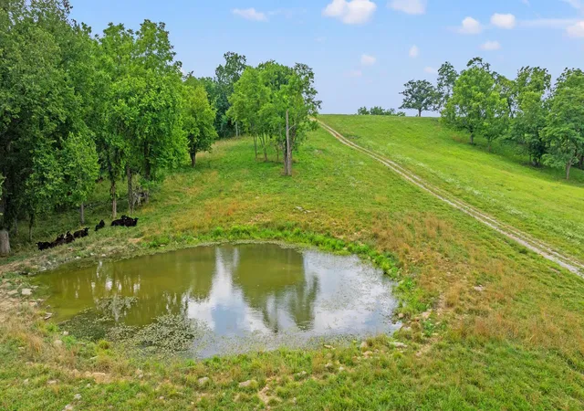Photo 4 of House for sale at 783 B Rutland Rd, Cynthiana, KY 41031 | MLS# 26023058 | Listing updated on 2026-09-10