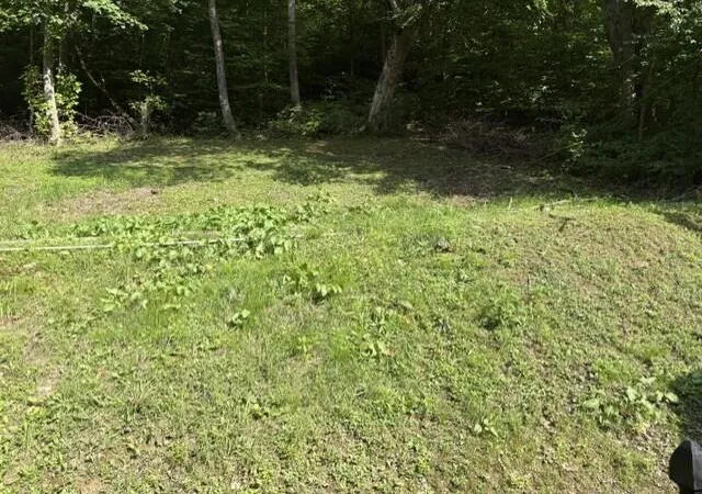 Photo 3 of Single family home for sale at 93 Schoolhouse Hollow Rd, David, KY 41616 | MLS# 26023063 | Listing updated on 2026-09-25
