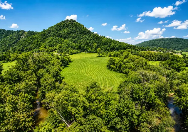 Land for sale at 2924 Red Lick Rd, Irvine, KY 40336 | MLS# 26023208