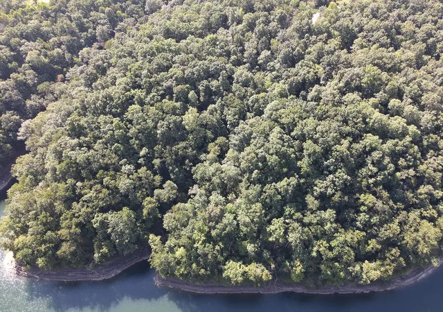 Photo 4 of Land for sale at 139 W Willow Point Rd, Monticello, KY 42633 | MLS# 26023380 | Listing updated on 2026-10-09