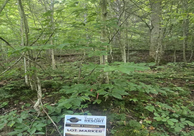 Land for sale at Lot 32 Twin Arch Resort Phase 3 Rd, Stanton, KY 40380 | MLS# 26023247
