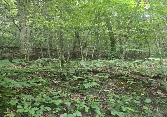 Photo 2 of Land for sale at Lot 32 Twin Arch Resort Phase 3 Rd, Stanton, KY 40380 | MLS# 26023247 | Listing updated on 2026-08-25