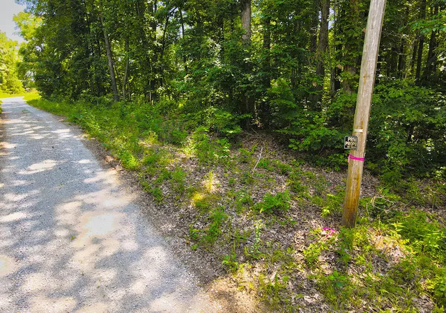 Photo 2 of Land for sale at 1117 Harmon Creek Rd, Monticello, KY 42633 | MLS# 26023301 | Listing updated on 2026-08-26