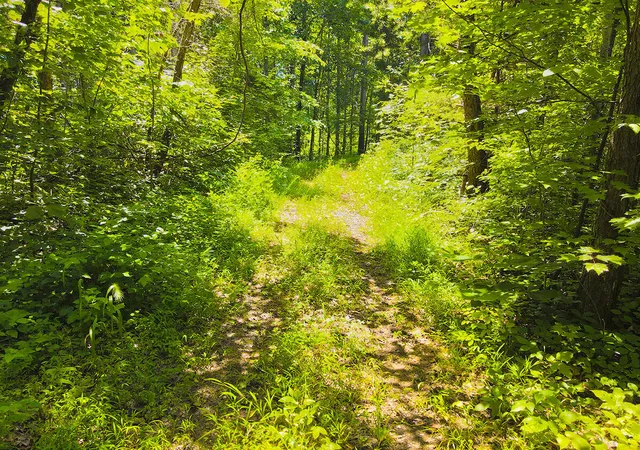 Photo 4 of Land for sale at 1117 Harmon Creek Rd, Monticello, KY 42633 | MLS# 26023301 | Listing updated on 2026-08-26
