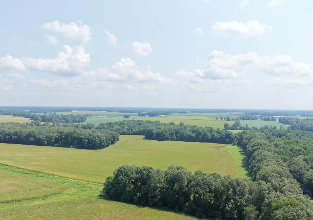 Photo 3 of Sale Pending at 00 Beech Grove Rd #Tract 7, Farmington, KY 42040 | MLS# 26023322 | Listing updated on 2026-09-30