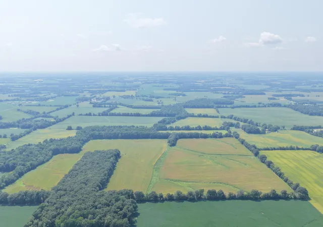 Photo 6 of Land for sale at 00 Beech Grove Rd #Tract 7, Farmington, KY 42040 | MLS# 26023322 | Listing updated on 2026-08-26