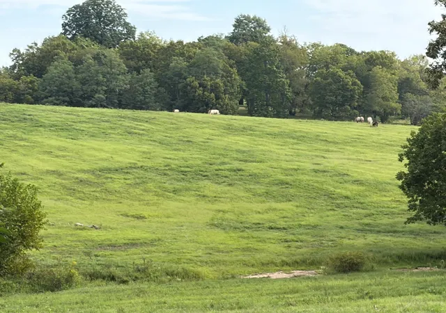 Photo 1 of Land for sale at 1061 Harrods Creek Rd, Paris, KY 40361 | MLS# 26023493 | Listing updated on 2026-08-28