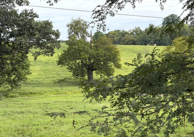 Photo 3 of Land for sale at 1061 Harrods Creek Rd, Paris, KY 40361 | MLS# 26023493 | Listing updated on 2026-08-28
