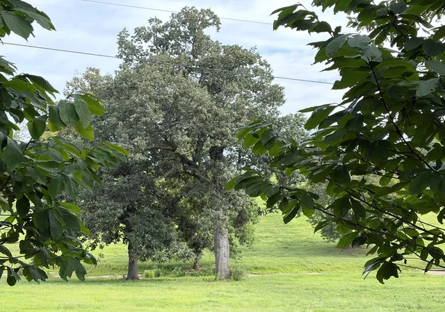 Photo 4 of Land for sale at 1061 Harrods Creek Rd, Paris, KY 40361 | MLS# 26023493 | Listing updated on 2026-08-28