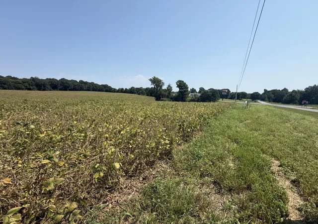 Photo 3 of Sale Pending at 00 Palestine Church Rd, Dexter, KY 42036 | MLS# 26023450 | Listing updated on 2026-09-21