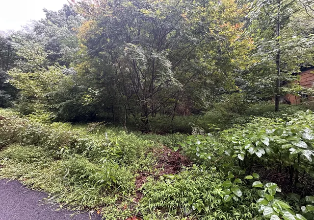 Photo 3 of Land for sale at 816 Road Creek, Elkhorn City, KY 41522 | MLS# 26023529 | Listing updated on 2026-08-28