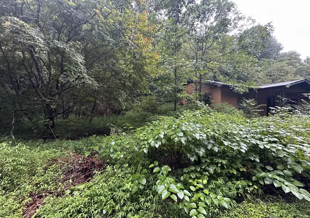 Photo 4 of Land for sale at 816 Road Creek, Elkhorn City, KY 41522 | MLS# 26023529 | Listing updated on 2026-08-28