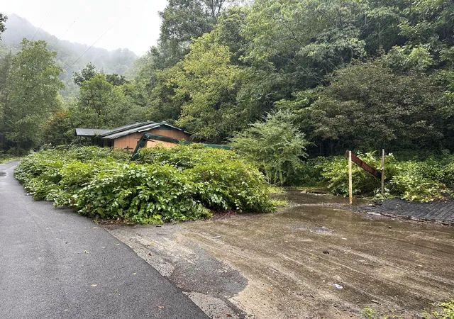 Photo 9 of Land for sale at 816 Road Creek, Elkhorn City, KY 41522 | MLS# 26023529 | Listing updated on 2026-08-28