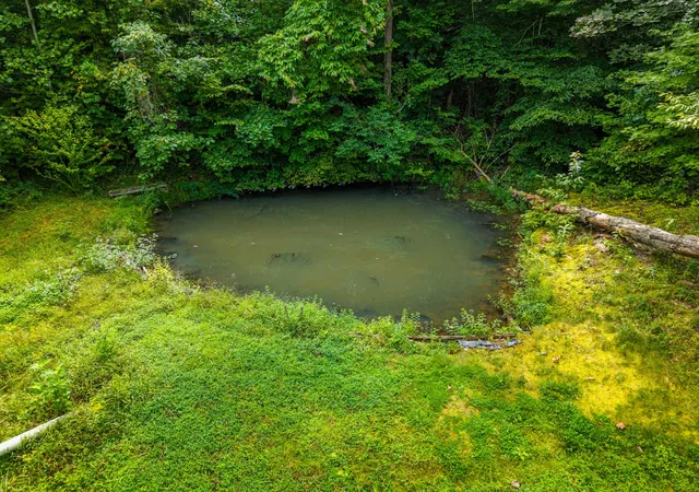 Photo 3 of Land for sale at 480 Phillips Hollow Rd, Monticello, KY 42633 | MLS# 26023601 | Listing updated on 2026-09-24