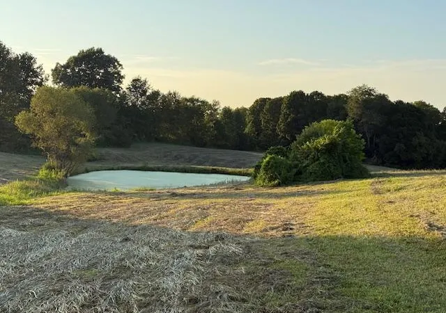 Photo 3 of Land for sale at 7388 Kentontown Rd, Mount Olivet, KY 41064 | MLS# 26023634 | Listing updated on 2026-09-09