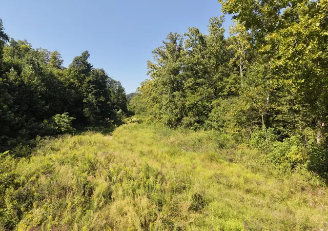 Photo 1 of Sale Pending at 5409 5409 State Hwy 599, Jeffersonville, KY 40337 | MLS# 26023686 | Listing updated on 2026-09-09