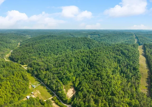 Photo 12 of Land for sale at 1068 Stingy Fork Rd Rd, West Liberty, KY 41472 | MLS# 26023728 | Listing updated on 2026-08-30