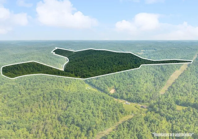 Photo 2 of Land for sale at 1068 Stingy Fork Rd Rd, West Liberty, KY 41472 | MLS# 26023728 | Listing updated on 2026-08-30