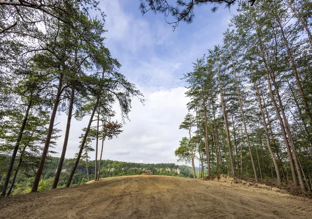 Photo 3 of Land for sale at Lot 124 12 Highland Hts, Zoe, KY 41397 | MLS# 26023787 | Listing updated on 2026-10-07