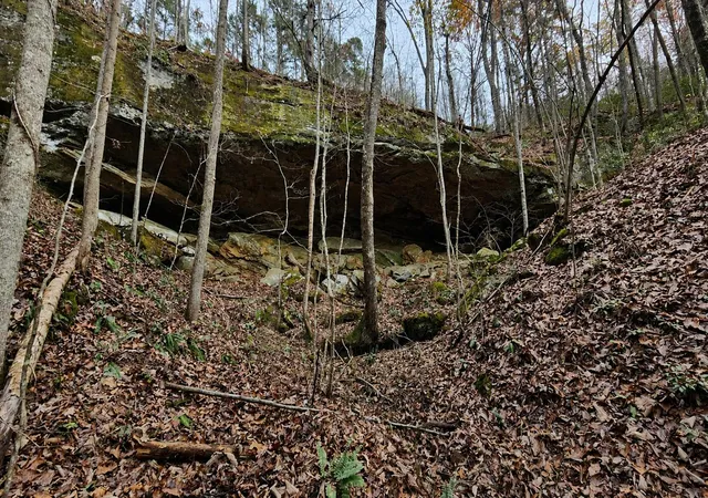 Photo 2 of Land for sale at 3101 Hazel Patch Rd, East Bernstadt, KY 40729 | MLS# 26023850 | Listing updated on 2026-08-31