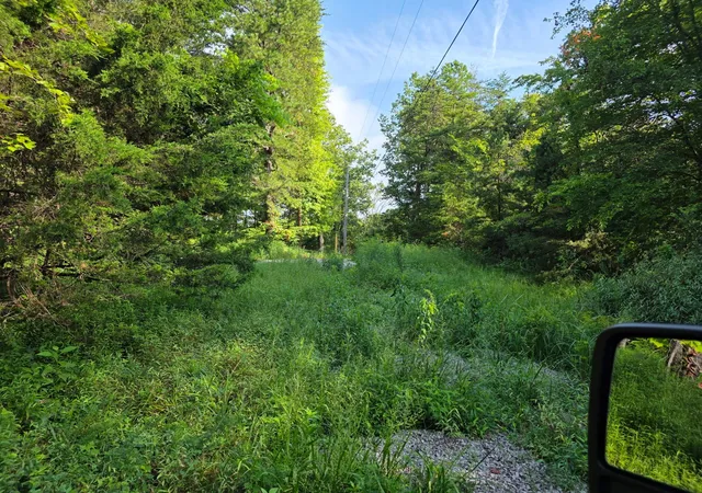 Photo 3 of Land for sale at 3101 Hazel Patch Rd, East Bernstadt, KY 40729 | MLS# 26023850 | Listing updated on 2026-08-31