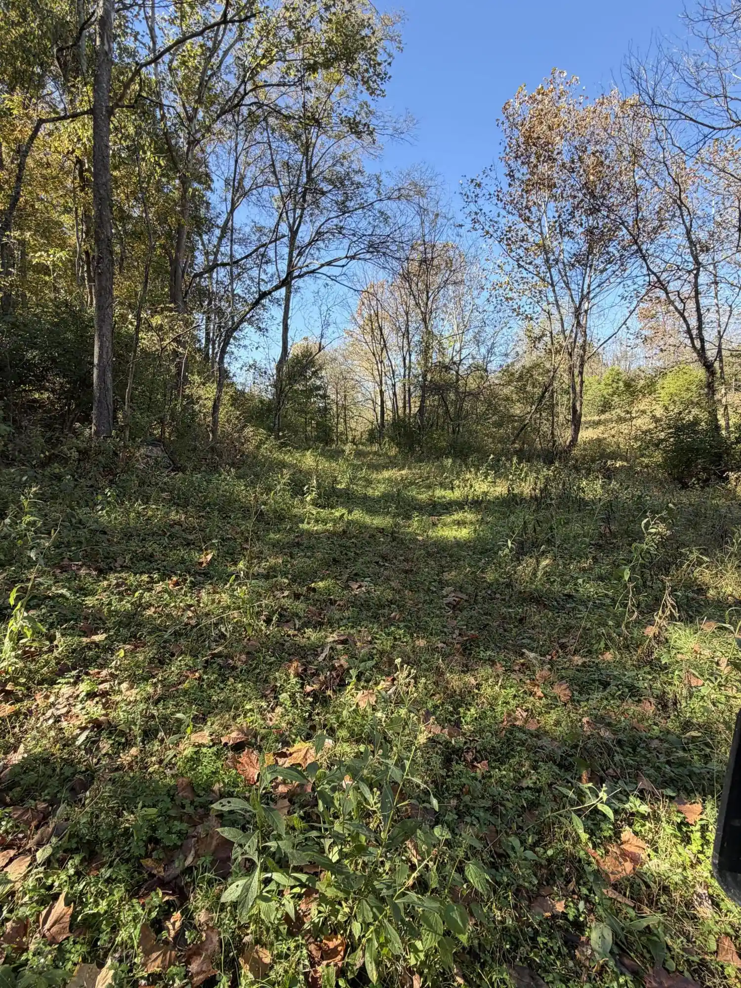 Land for sale at 2123 Myers Rd, Carlisle, KY 40311 | MLS# 26029219