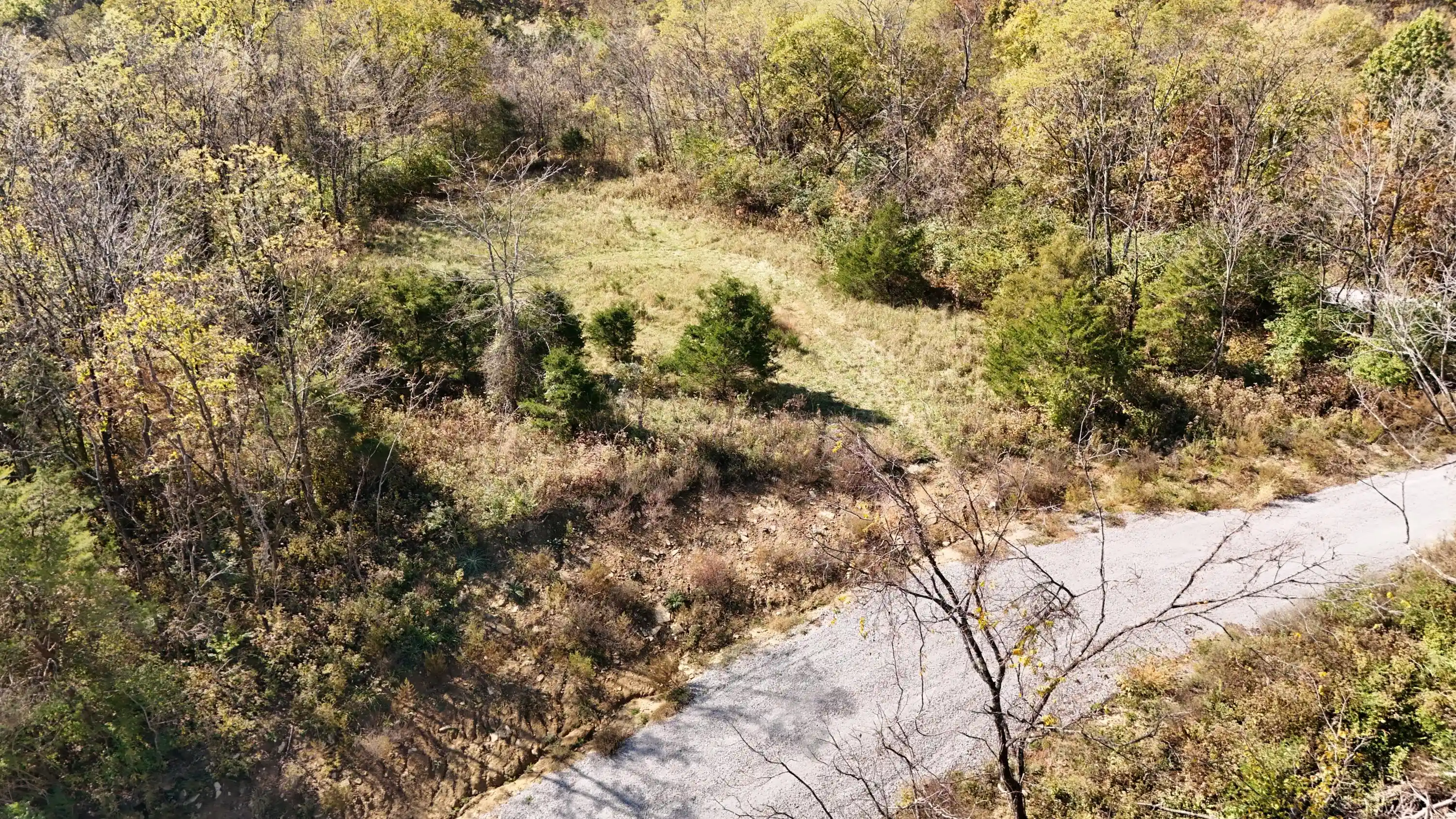Land for sale at 1701 Persimmon Ridge Rd, Carlisle, KY 40311 | MLS# 26029451